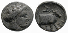 Euboia, Histiaia. 4th-3rd centuries BC. Æ 13mm, 2.10 g. Bull