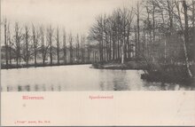 HILVERSUM - Spanderswoud