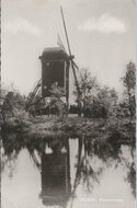 BUURSE - Stendermolen