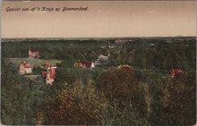 BLOEMENDAAL - Gezicht van af 't Kopje op Bloemendaal