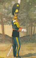 MILITAIR - Garderegiment Grenadiers. Ceremoniële tenue Luitenant-kolonel