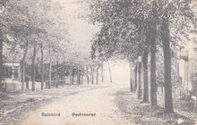 OOSTVOORNE - Duinoord