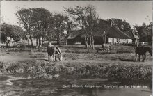 KAMPERDUIN - Boerderij aan het Harger gat