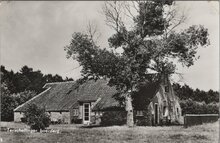 TERSCHELLING - Boerderij