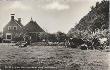 BAKKEVEEN - Kampeerboerderij Wâldsong