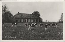 HAARLE - Boerderij