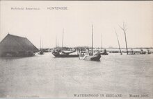 HONTENISSE - Hofstede Arenthals. Watersnood in Zeeland - Maart 1906