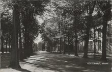 OOSTERHOUT - Heuvel