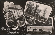 OOSTERHOUT - Meerluik Groeten uit Oosterhout