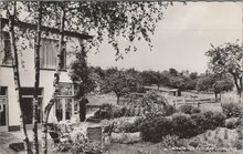 SCHIN OP GEUL - Hotel-Pension op de Beek. Gedeelte van de tuin met boomgaard