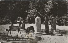 VAALS - Groeten uit Vaals, Neerlands Top