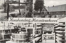 WOOLD - Kaasboerderij Harmienehoeve