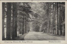 DIEREN-DE STEEG-ELLECOM - Middeachterallee