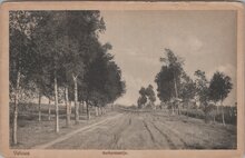 VELUWE - Berkenlaantje
