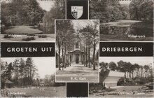 DRIEBERGEN - Meerluik Groeten uit Driebergen