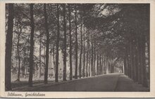 BILTHOVEN - Gezichtslaan