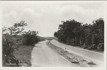 CASTRICUM - Zeeweg