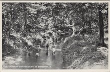 WINTERSWIJK - Beekgezicht in Bekendelle