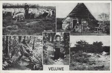 VELUWE - Meerluik Veluwe
