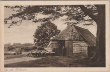 VELUWE - Schaapskooi op de Veluwe