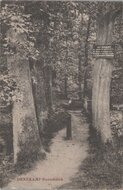 DENEKAMP - Sterrebosch