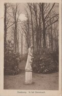 DENEKAMP - In het Sterrebosch