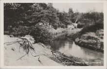 DENEKAMP - Dinkel in het Lutterzand
