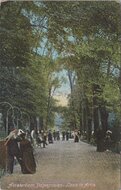 AMSTERDAM - Papagaaien - Laan in Artis