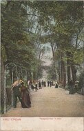 AMSTERDAM - Papagaaien laan in Artis