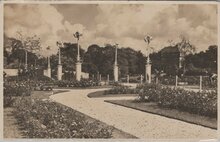 AMSTERDAM - Rosarium Kleurenpracht