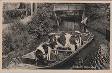 GIETHOORN - Veevervoer