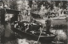 GIETHOORN - Mooi Giethoorn