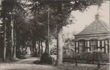STEENWIJK - Op de Bult bij Steenwijk