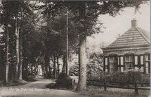 STEENWIJK - Op de Bult bij Steenwijk