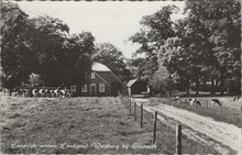 STEENWIJK - Landelijk schoon Landgoed Woldberg bij Steenwijk