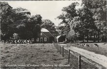 STEENWIJK - Landelijk schoon Landgoed Woldberg bij Steenwijk