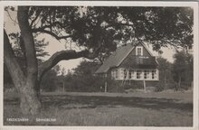 FREDESHIEM - Sinneblink