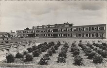 STEENWIJK - Zonnekamp