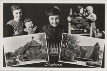 STAPHORST - Meerluik Staphorst