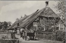 STAPHORST - Boerderij