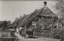 STAPHORST - Boerderij