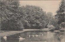 AMSTERDAM - Vondelpark
