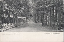 ALMELO - t Jagertje - Ambt-Almelo