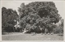 WEERSELO - Achterzijde v.h. Stiftshuis