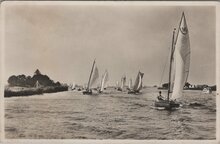 GROUW - Hardzeilen op het Pikmeer