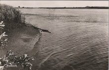 BIESBOSCH - Gezicht op de Biesbosch