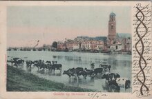 DEVENTER - Gezicht op Deventer