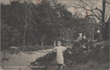 HAAMSTEDE - In de Duinstreek bij Haamstede