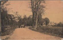 HAAMSTEDE - Weg tusschen Haamstede en Burgh