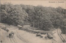 HAAMSTEDE - Duingezicht te Haamstede